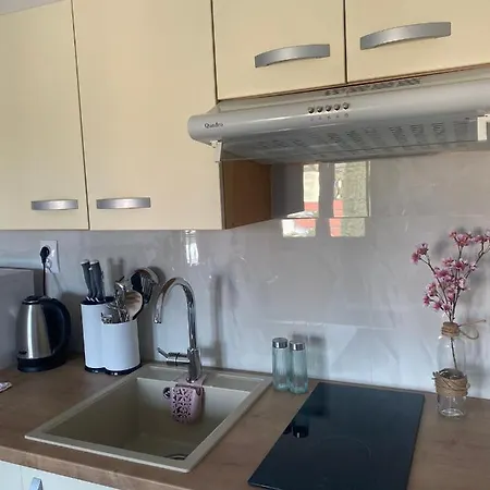 Zivko * Малинска